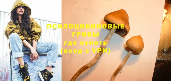 прущие крисы Балахна