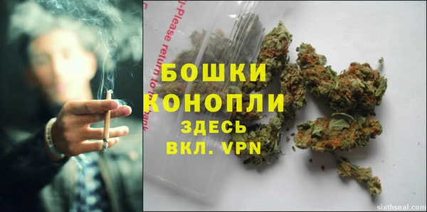 трава Армянск
