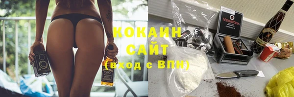 твердый Арсеньев