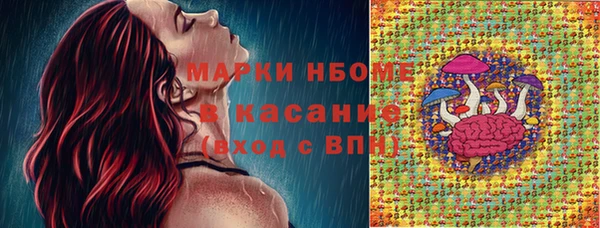 твердый Арсеньев