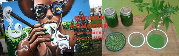 твердый Арсеньев
